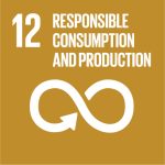 12. Responsible Consumption and Production