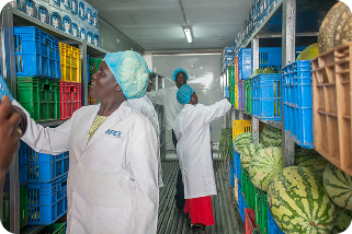 Fueling the Heart of the Community