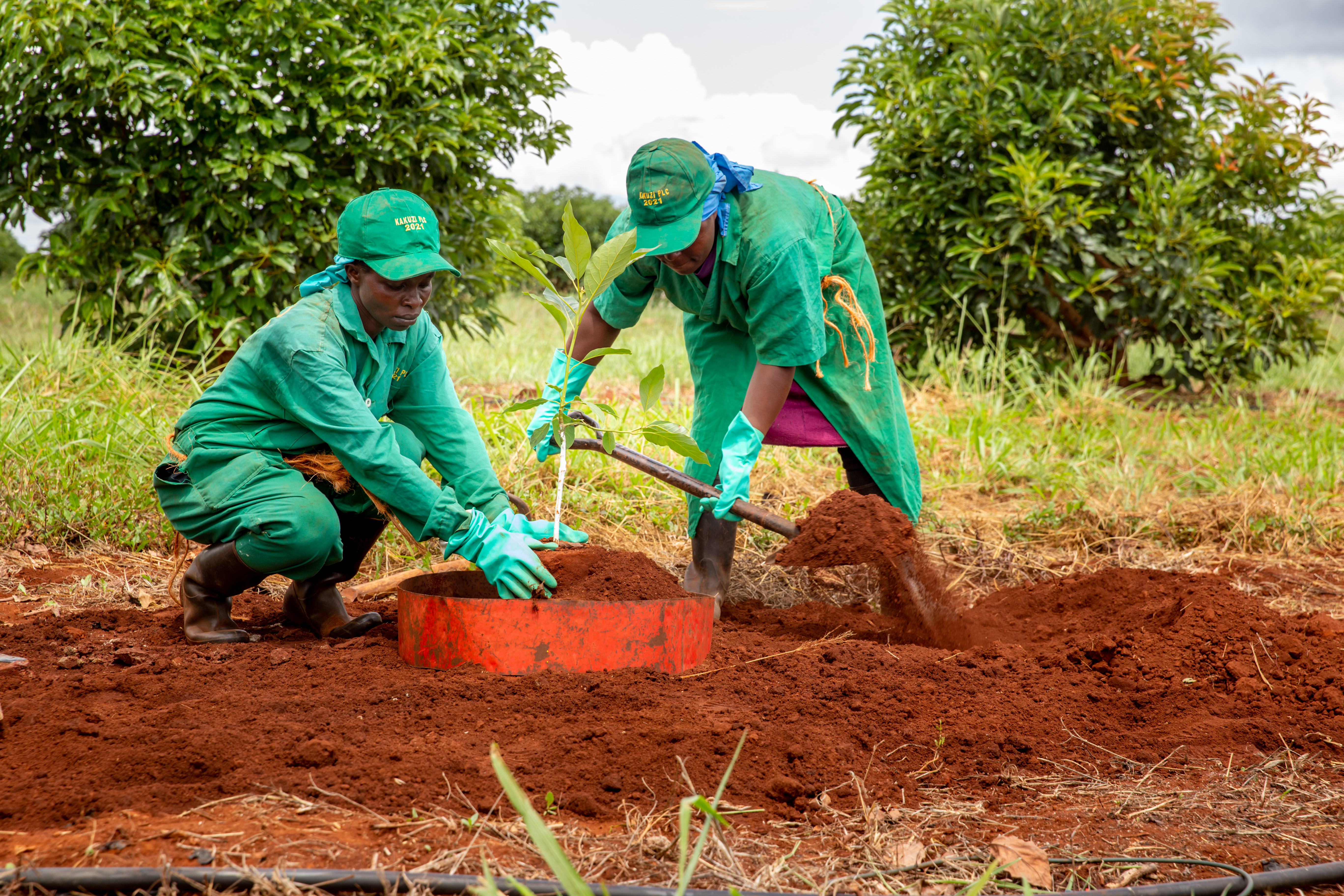 Infrastructure Development