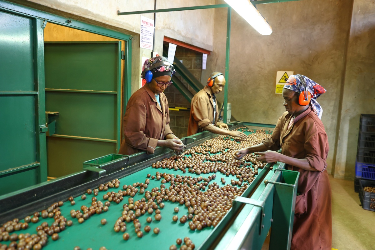 Education Initiatives