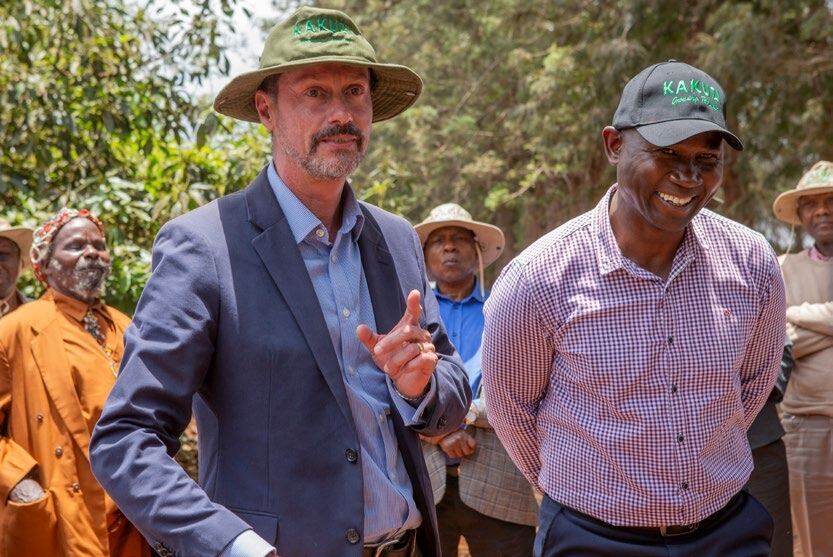 Avocado Excellence Awards exporter
