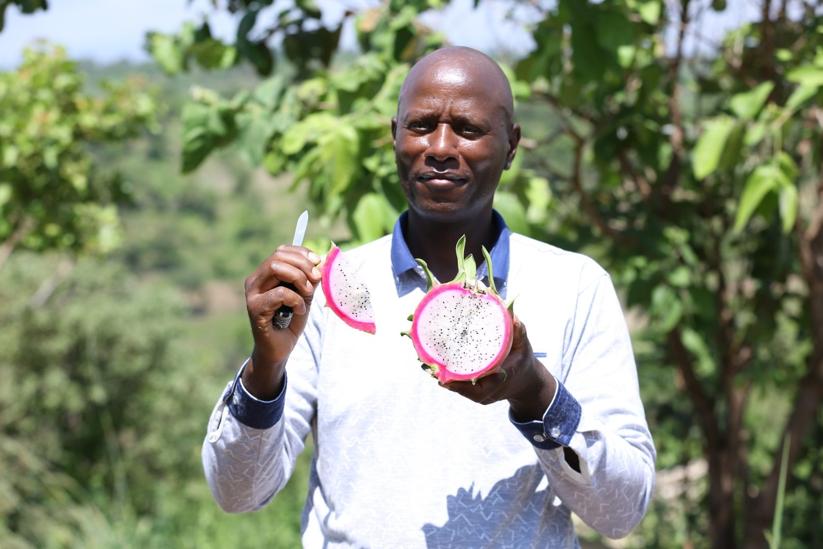Dragon fruit farming: The lucrative berry with great potential