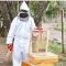 Beekeeping Venture: Couple winning in beekeeping venture they stumbled upon while farming coffee.