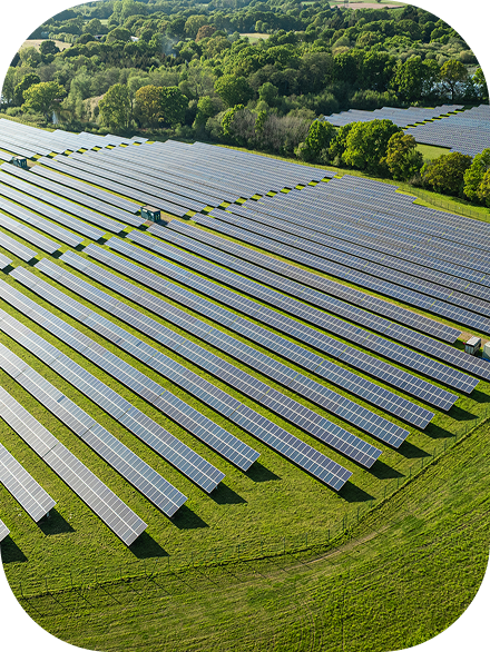 Driving Insurance for a Sustainable Future