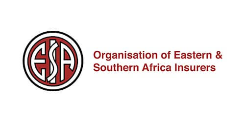 Kenya company logo