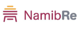 Namibia company logo