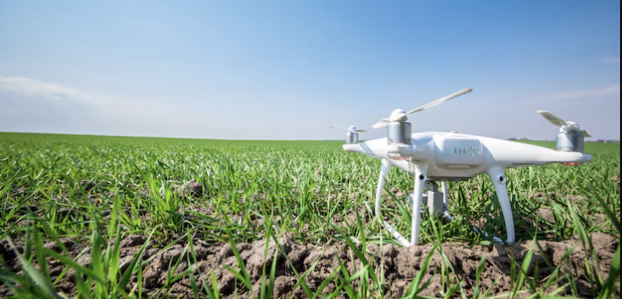 A small white drone hovering low over a green field of young crops